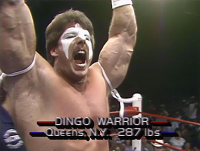 Dingo Warrior